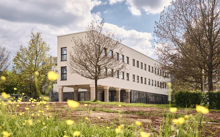 Moderner Anbau eines Firmengebäudes mit weißer Fassade und großen Fenstern, umgeben von jungen Bäumen und einer blühenden Wiese im Vordergrund.