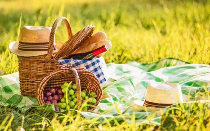 Picknick mit Körben, Baguettes, Wein und Trauben auf grünem Tuch