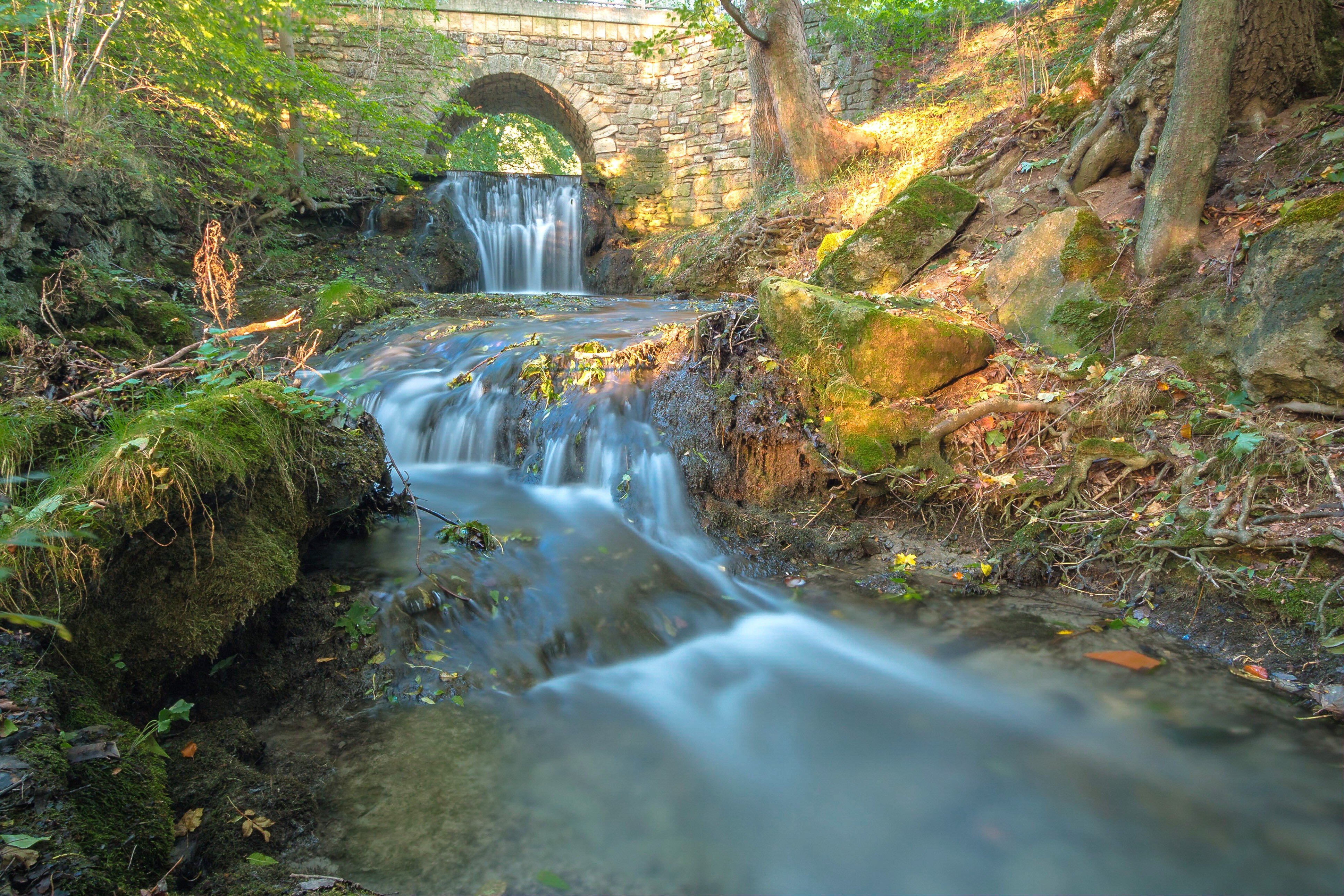 Naturschauspiel: Führt die Lutter ausreichend Wasser, wird der Lutterwasserfall hinter der neuen Wanderhütte zu einer besonderen Attraktion. In der schluchtartigen Vertiefung unterhalb des Falls finden verschiedene Vogelarten wie Wasseramsel, Zaunkönig und Gebirgsbachstelze einen Lebensraum.